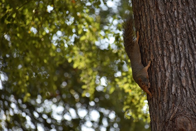 周末进行的 周末进行的