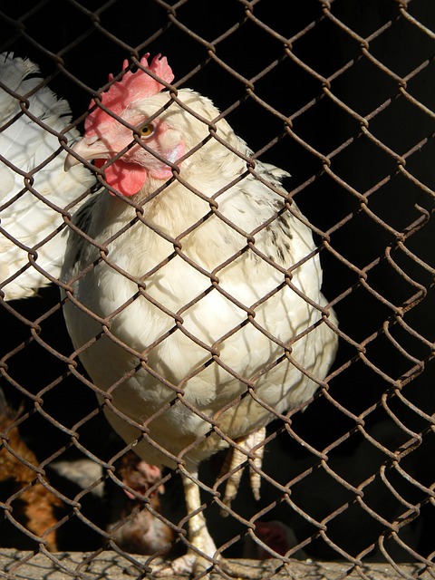 事准备时的 事准备时的