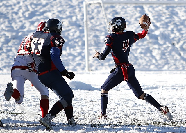 自己的实力 自己的实力