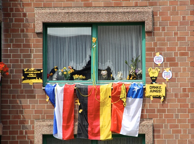 在寻找的宝 在寻找的宝