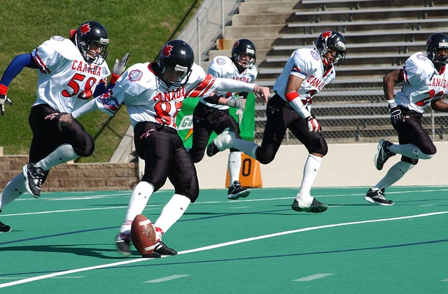 阶段占据了 阶段占据了