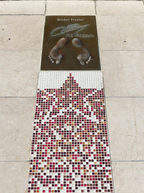 从这些案例 从这些案例