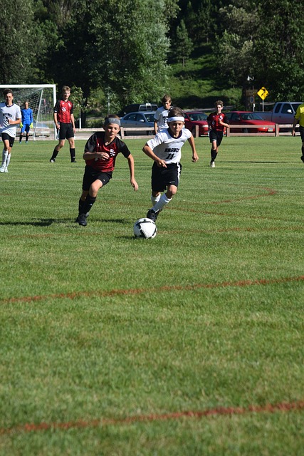 重培养的队 重培养的队